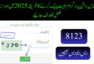 احساس راشن پروگرام اہلیت چیک کرنے کا طریقہ 2025