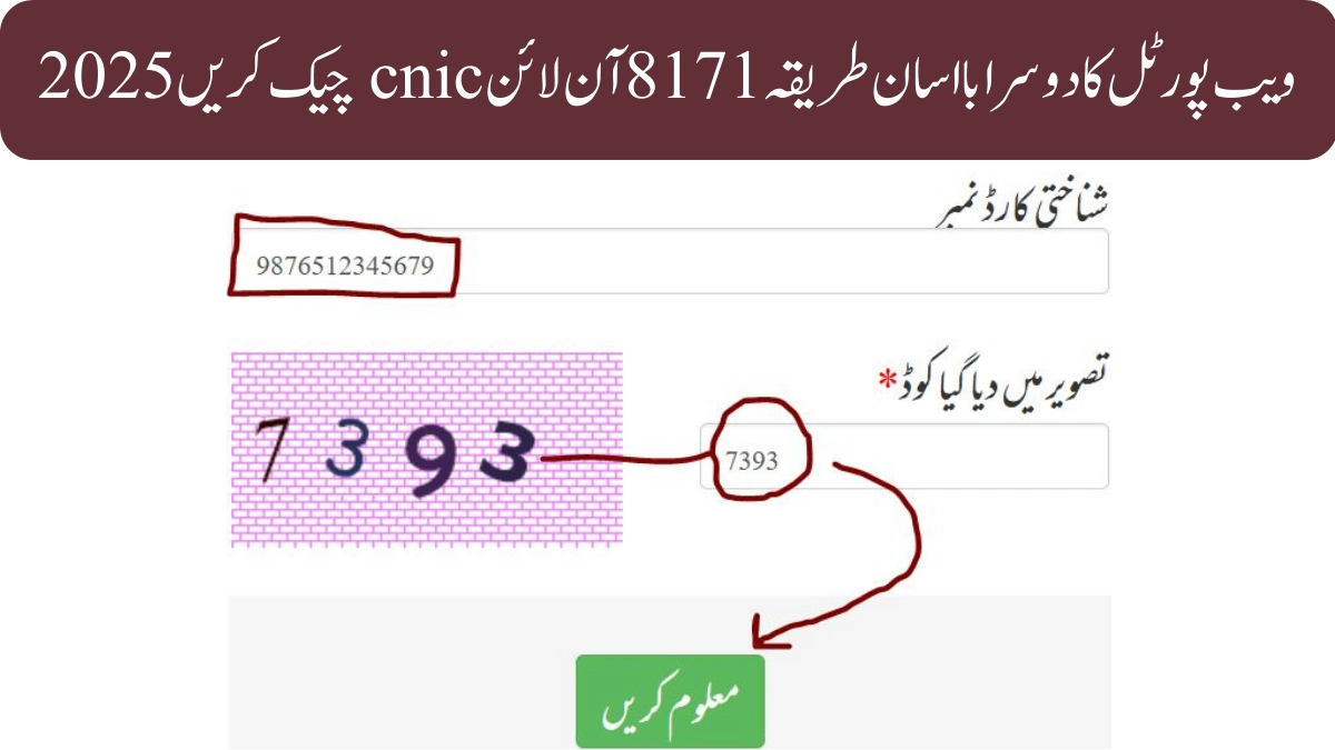 8171 آن لائن cnic چیک کریں 2025