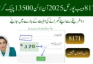 8171 ویب پورٹل 2025 آن لائن 13500 چیک کریں