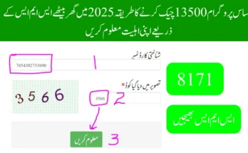 احساس پروگرام 13500 چیک کرنے کا طریقہ 2025