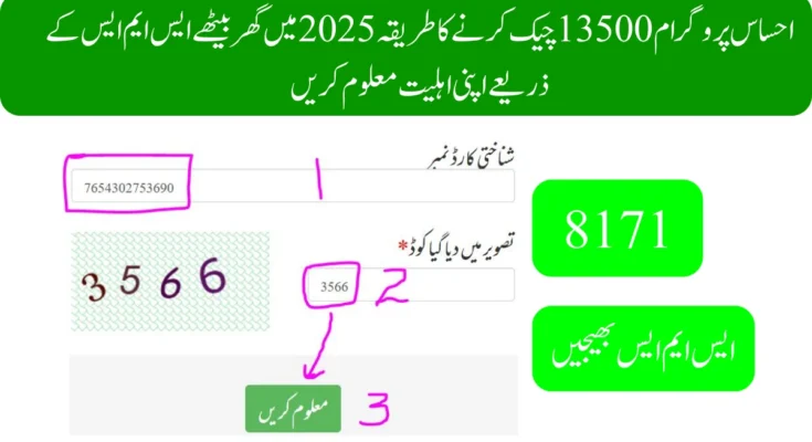 احساس پروگرام 13500 چیک کرنے کا طریقہ 2025