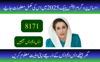 احساس پروگرام بیلنس چیک 2025