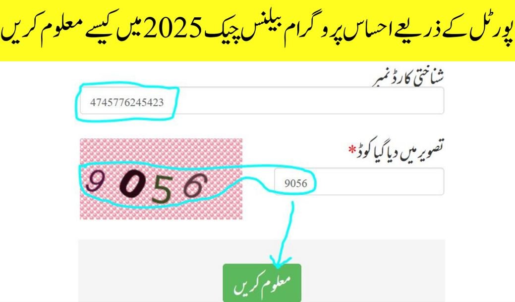 احساس پروگرام بیلنس چیک 2025