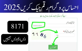 احساس پروگرام رقم چیک کریں