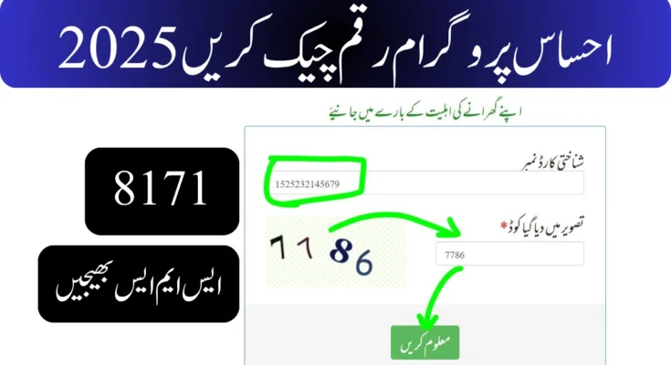 احساس پروگرام رقم چیک کریں