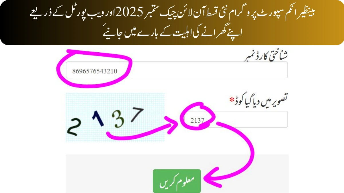 بینظیر انکم سپورٹ پروگرام نئی قسط آن لائن چیک ستمبر 2025